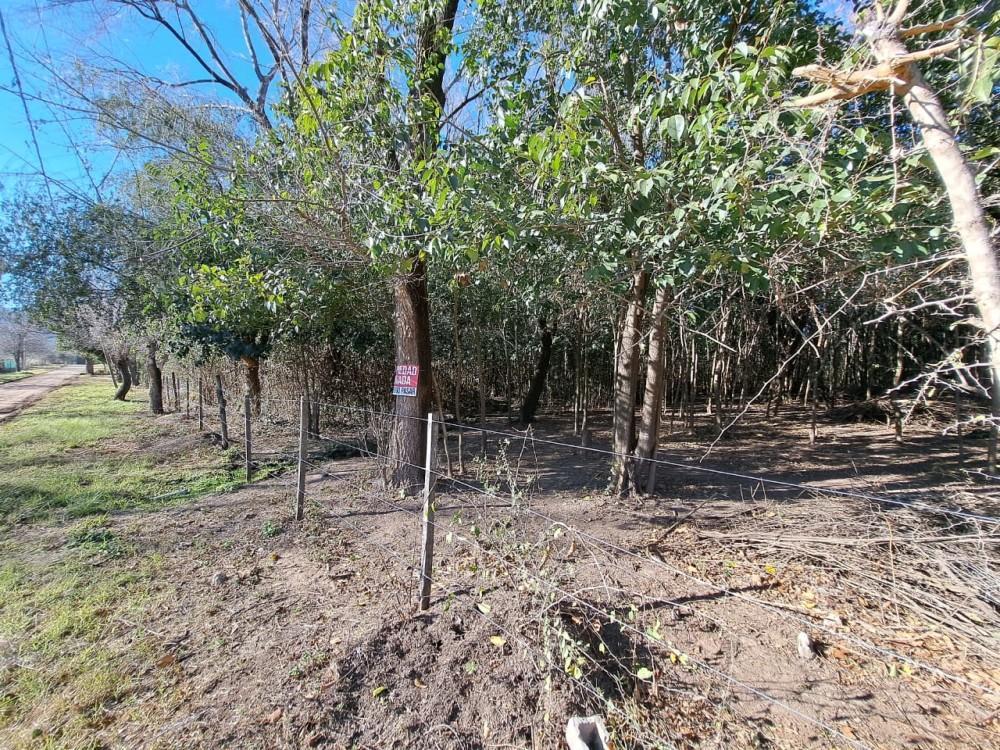 Vendo Lotes 2650 m² en Casa Grande Valle de Punilla 1
