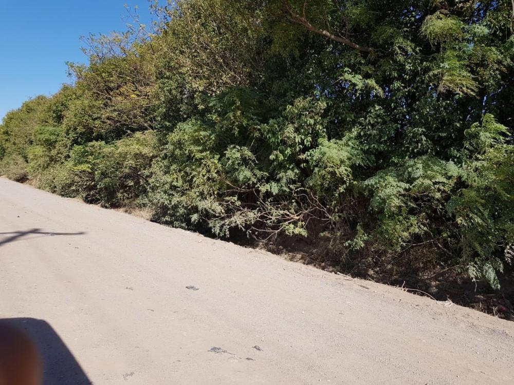 Foto de VENTA TERRENO LOTE DOS HECTAREAS VILLA RETIRO, imagen 5