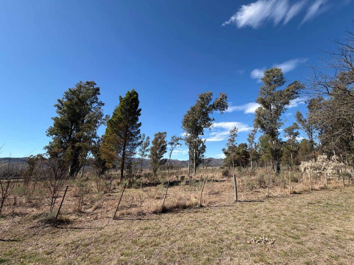 Foto de Terreno de 10000 m² en venta en Villa Ciudad Parque Los Reartes, imagen 2