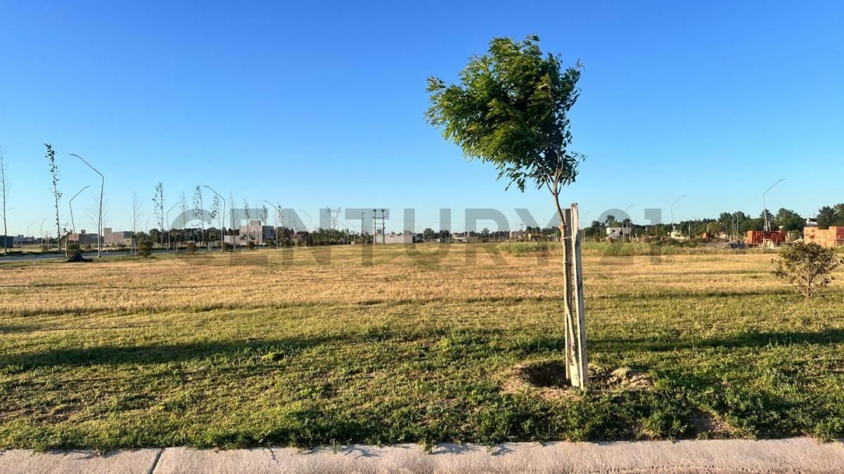 Venta Lote de 300 m² en Ecotierra, Pueblo Esther 4