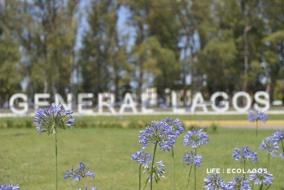 Foto de Venta de Lotes en Ecolagos Este | General Lagos, imagen 1