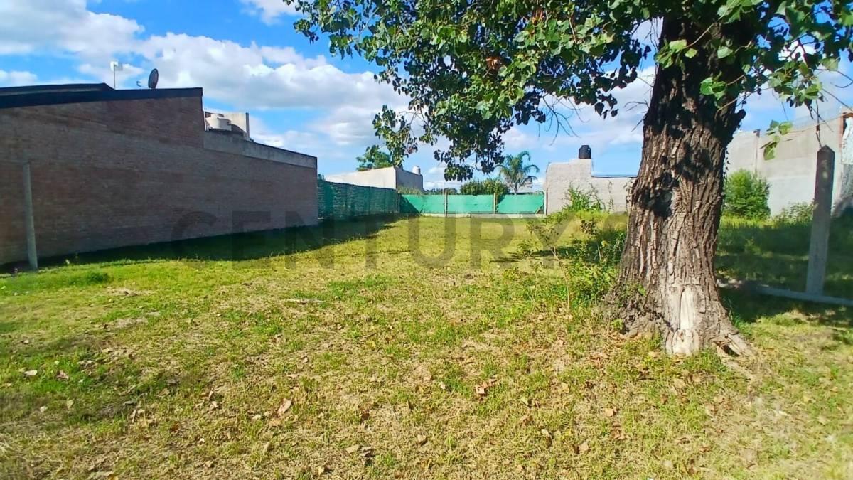 Foto de Venta Lote en el Mirador del Rio, Arroyo Seco, imagen 3