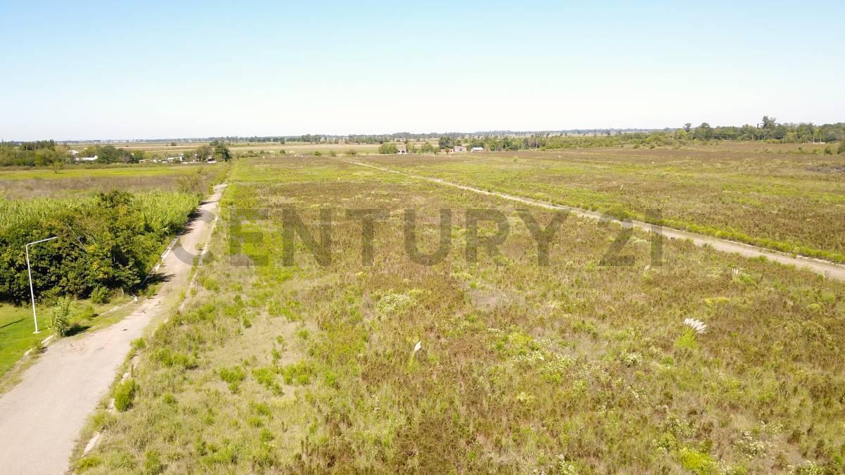 Foto de Venta Lote en barrio abierto El Naranjo II, Ibarlucea, imagen 1