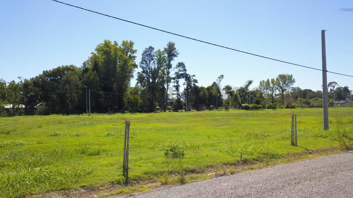 Foto de Venta Lote en El Naranjo II, Ibarlucea, imagen 3