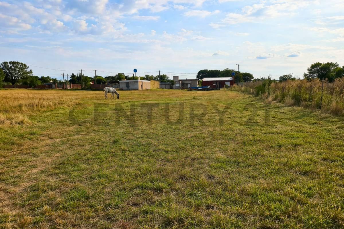 Foto de Venta Lote en Melincué, Santa Fe, imagen 4