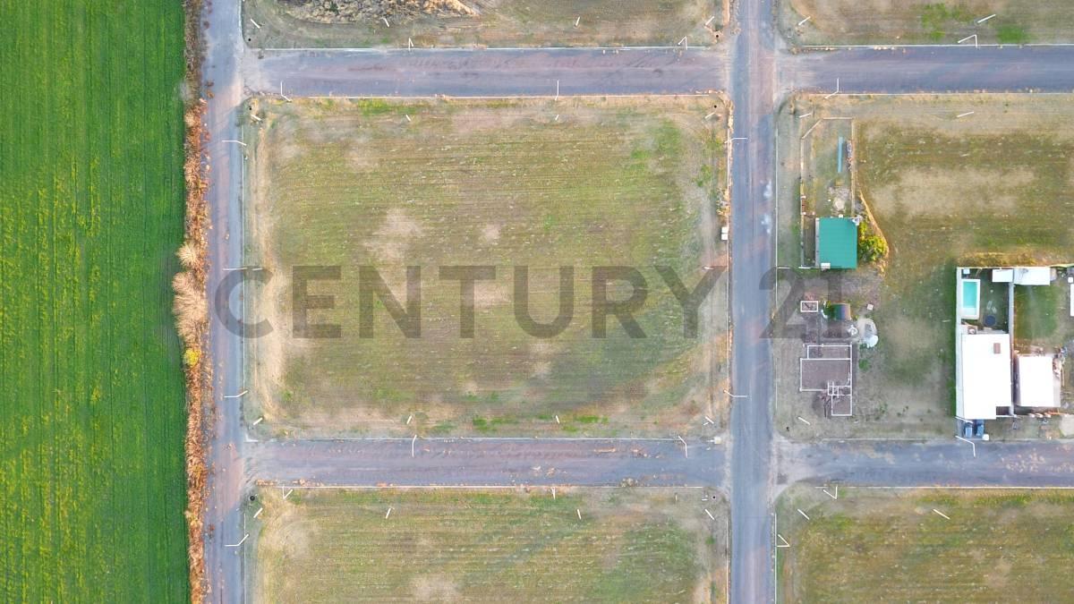 Foto de VENTA | Lote/s en Barrio Francisco Primero, Arroyo Seco, imagen 3