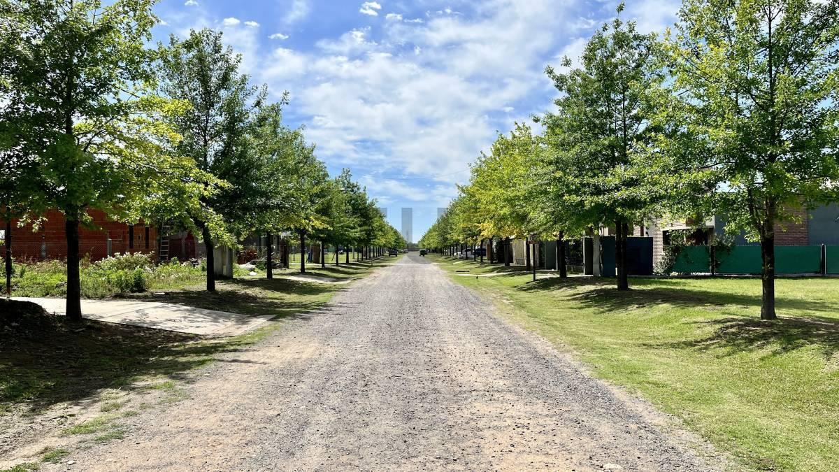 Foto de Venta Lote de esquina en Barrio Privado Las Casuarinas, Ibarlucea, imagen 4