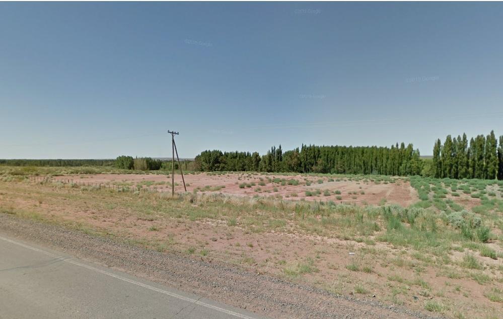 Lotes Frente Ruta Añelo 4