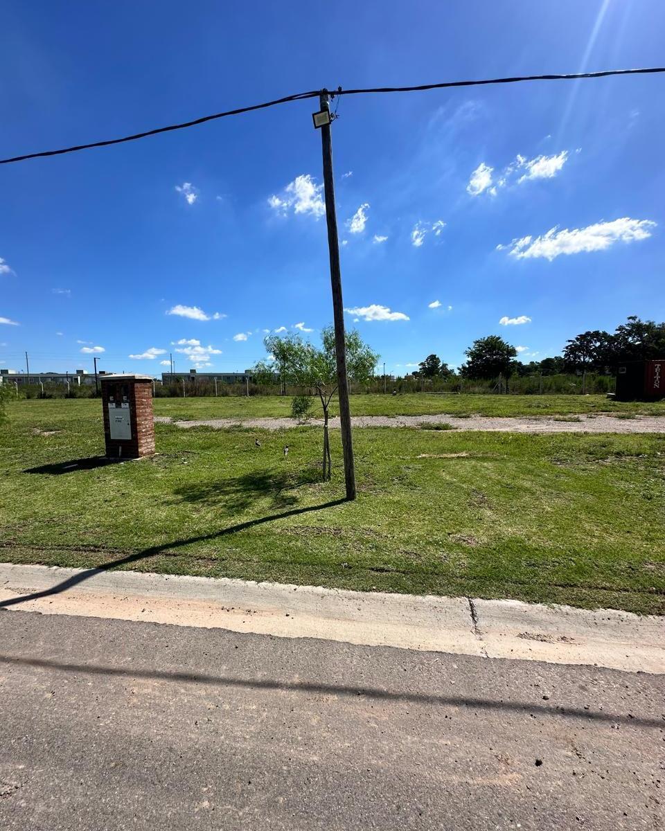 Lote en Venta Bella Vista Joven N74 (Proyecto Aprobado) 3