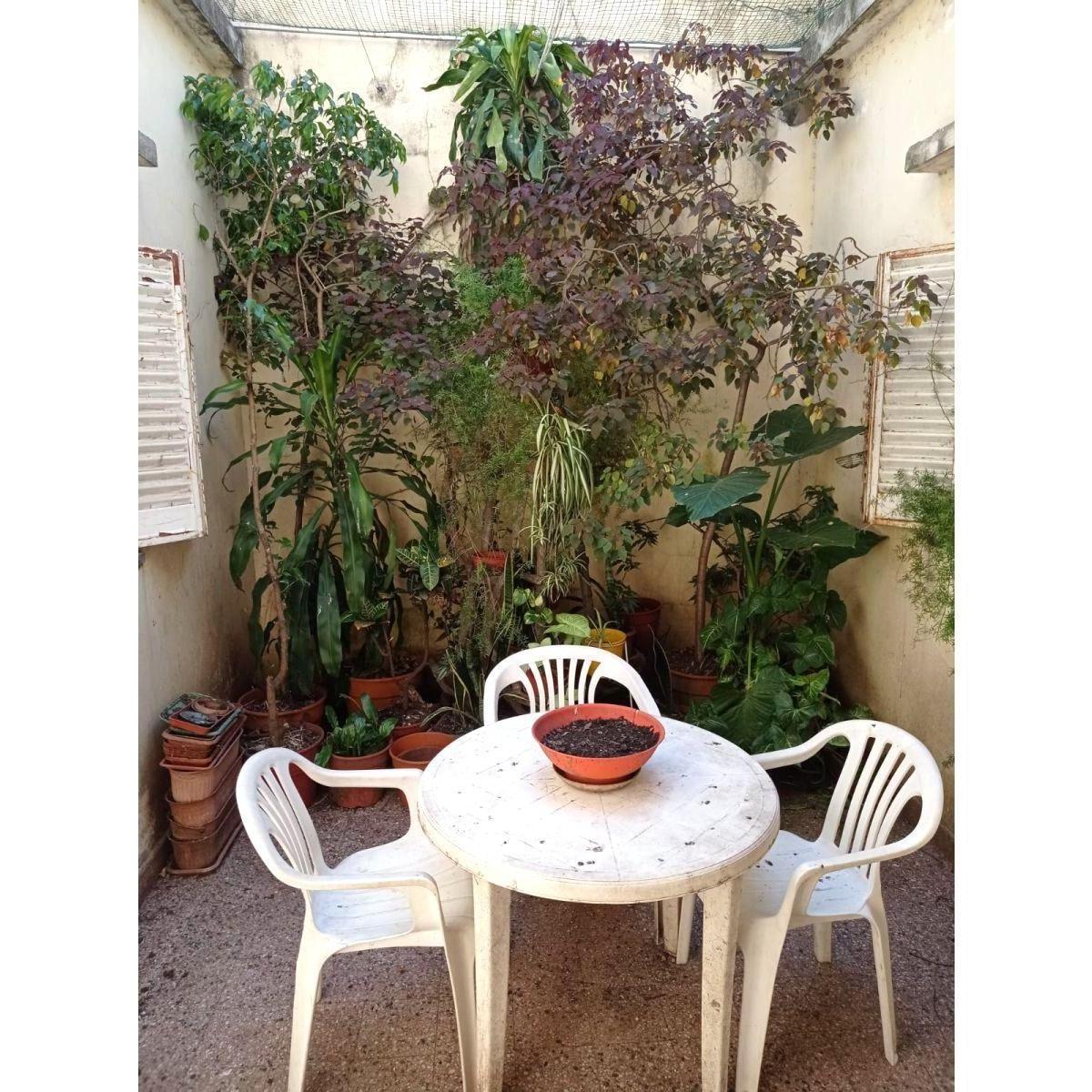 Casa San Lorenzo Al 1900 a Reciclar - 320 m² de Terreno 5