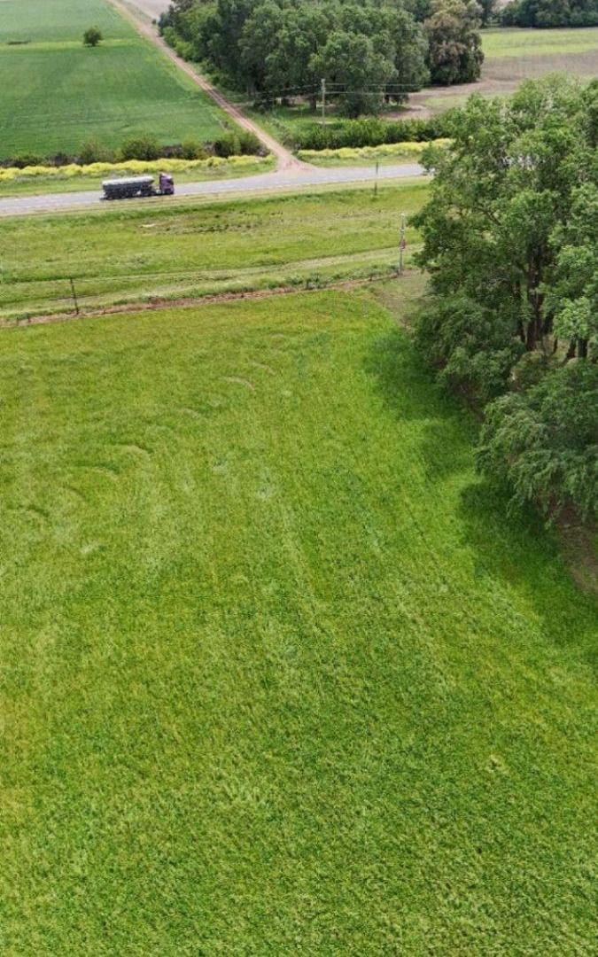 Foto de Campo en venta de 36 Hectareas ubicado en Cazón, imagen 1