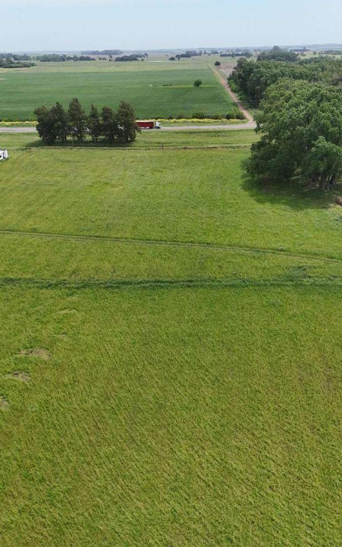 Foto de Campo en venta de 36 Hectareas ubicado en Cazón, imagen 5