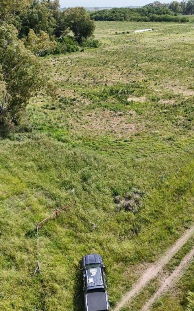 Foto de Campo en venta de 26m2 ubicado en Laguna de Lobos, imagen 5