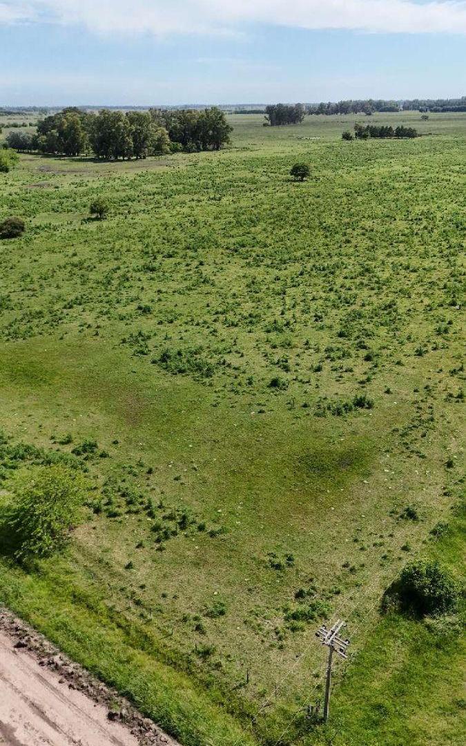 Foto de Campo en venta de 26m2 ubicado en Laguna de Lobos, imagen 3