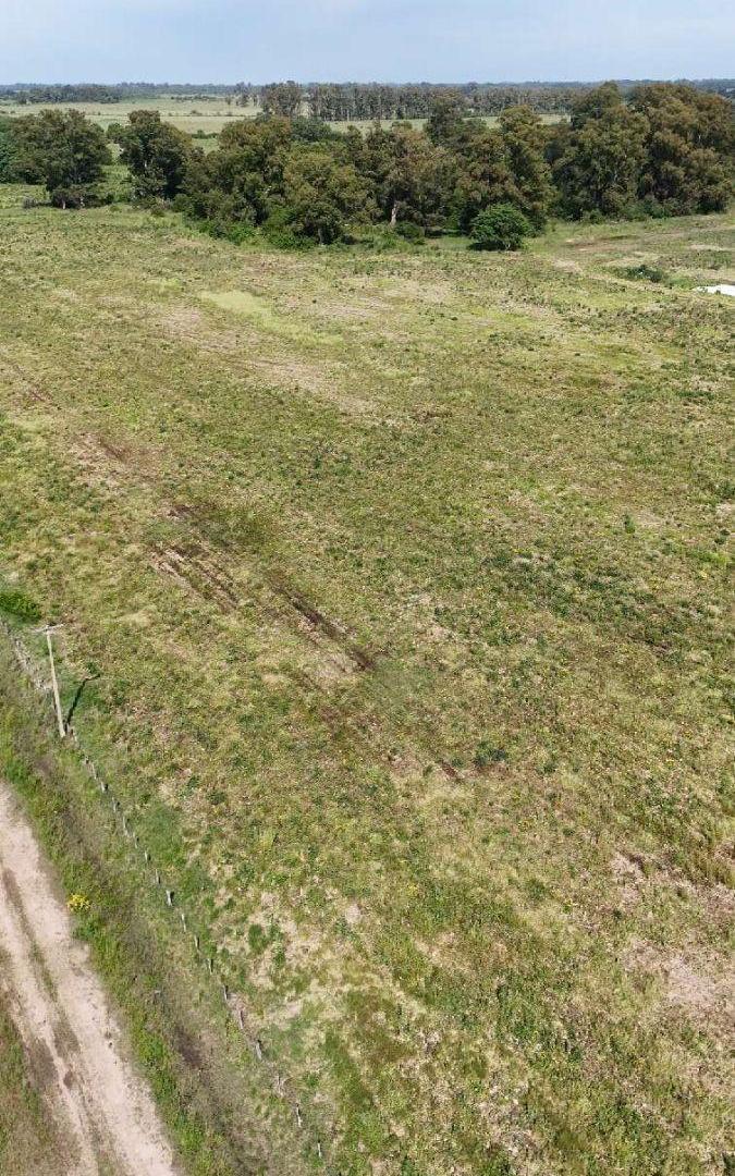 Foto de Campo en venta de 26m2 ubicado en Laguna de Lobos, imagen 2