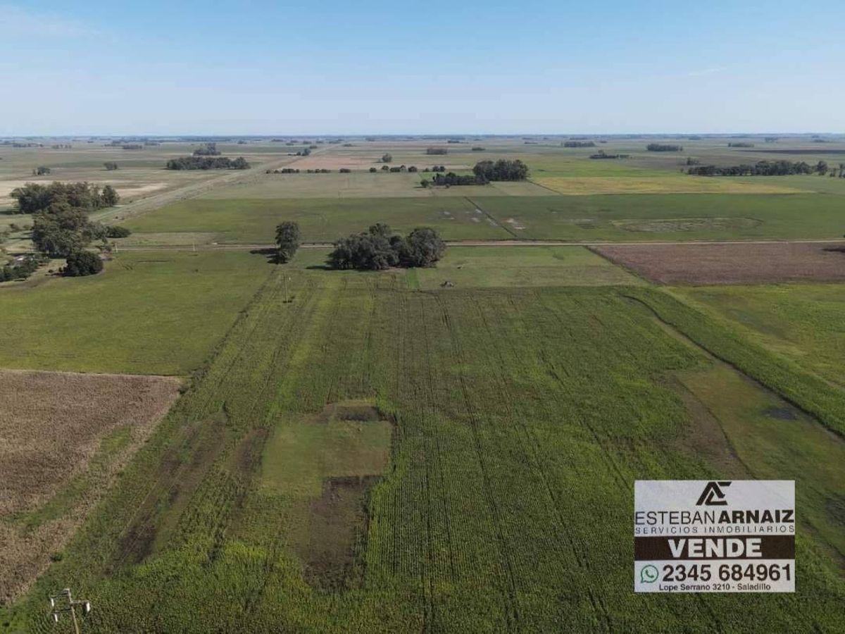 Foto de Campo en venta de 11ha ubicado en Saladillo, imagen 5