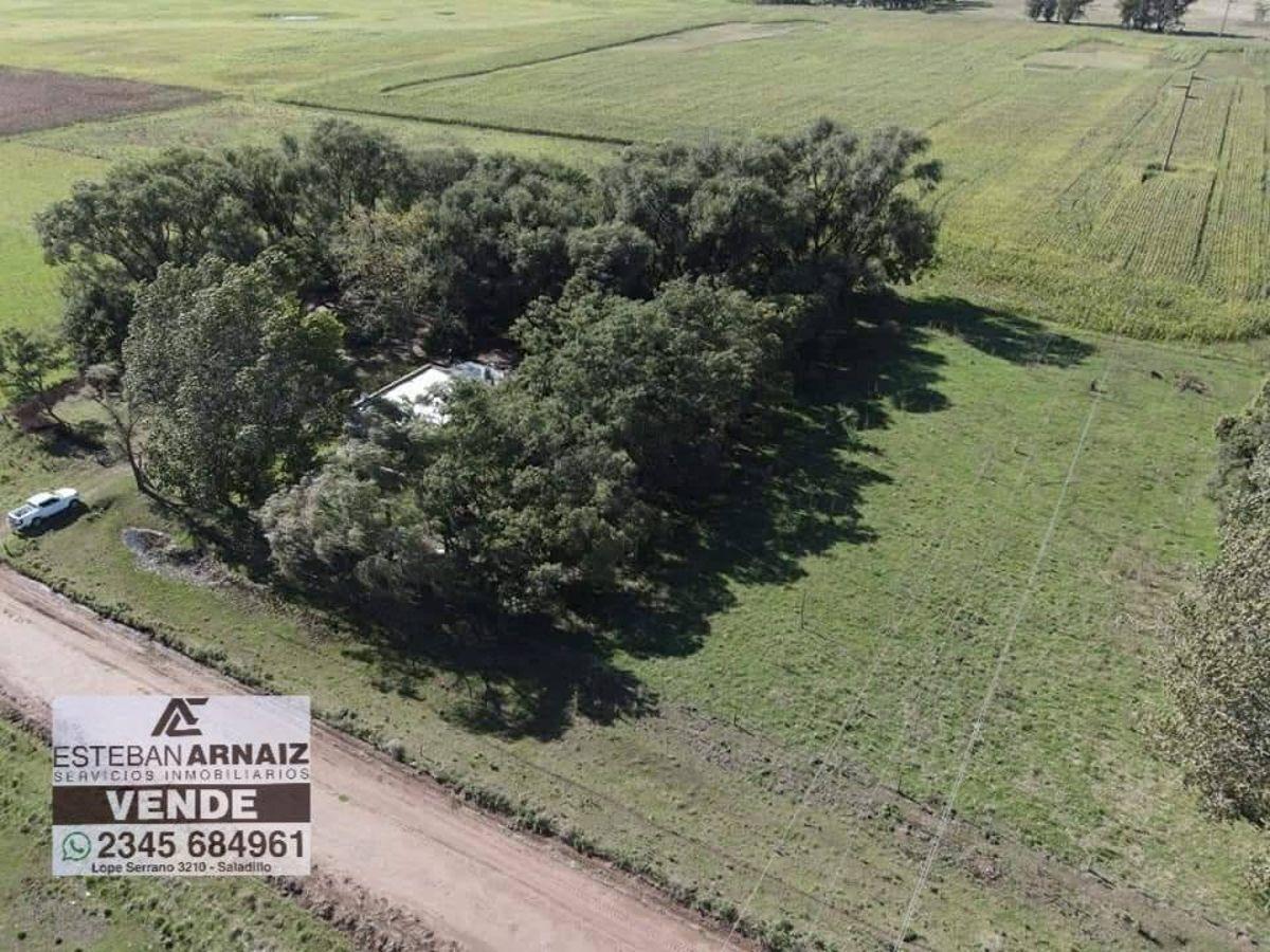 Foto de Campo en venta de 11ha ubicado en Saladillo, imagen 2