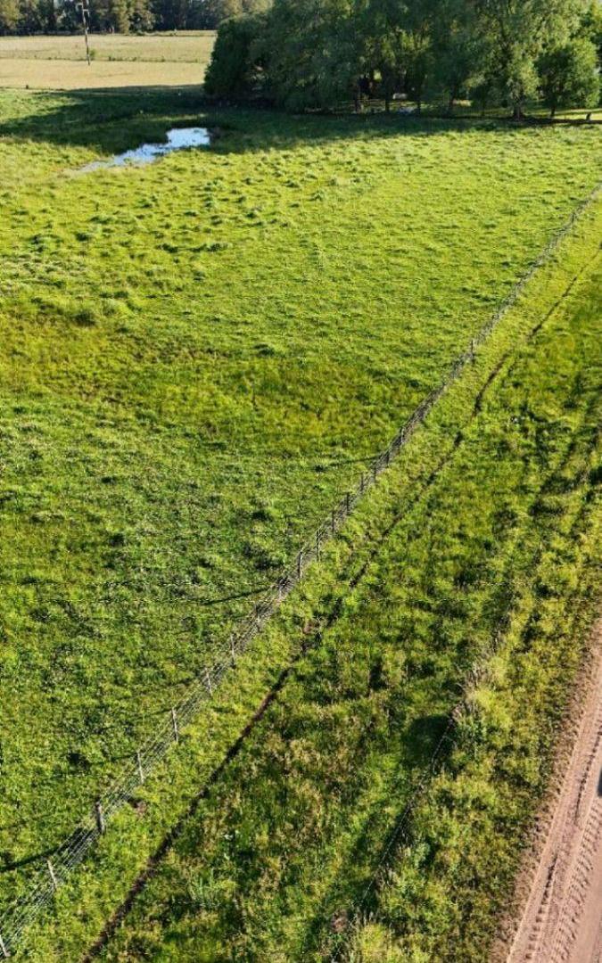 Foto de Campo en venta de 11ha ubicado en Saladillo, imagen 1