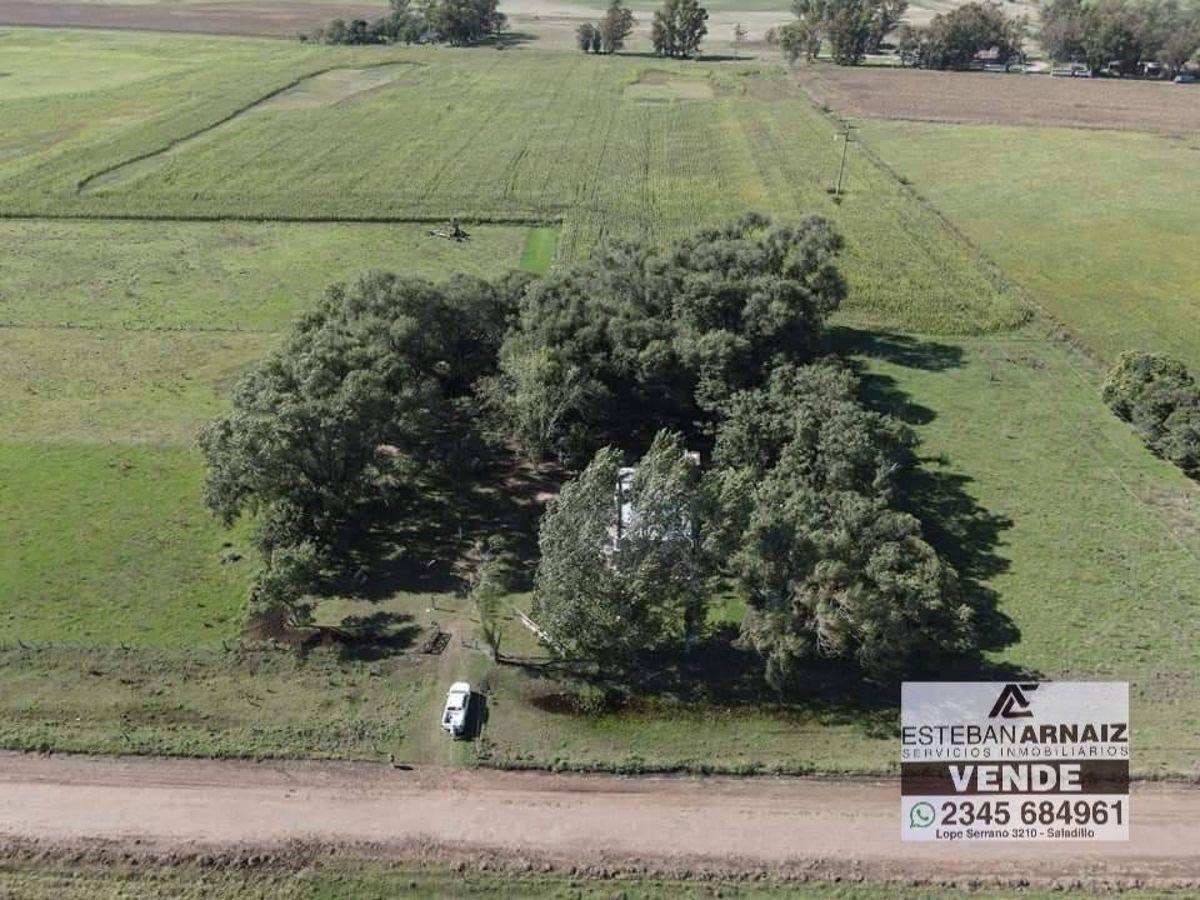 Foto de Campo en venta de 11ha ubicado en Saladillo, imagen 4