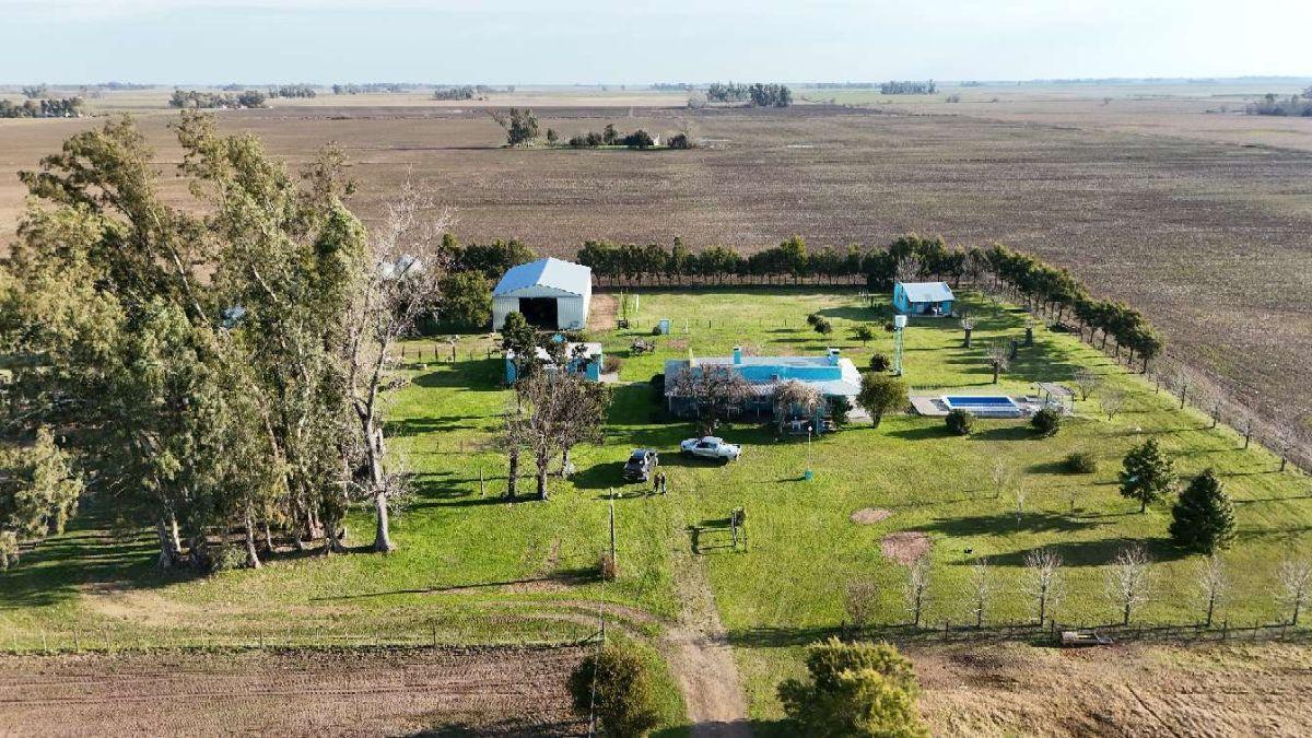 Foto de Campo en venta de 41ha ubicado en Saladillo, imagen 3