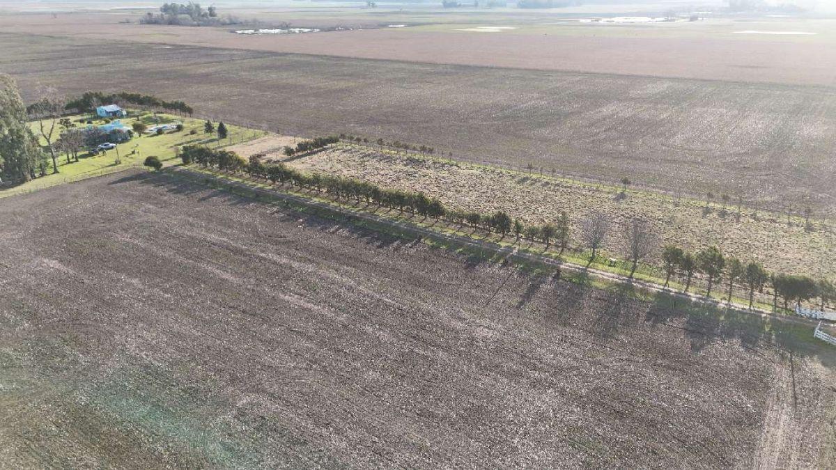 Foto de Campo en venta de 41ha ubicado en Saladillo, imagen 5