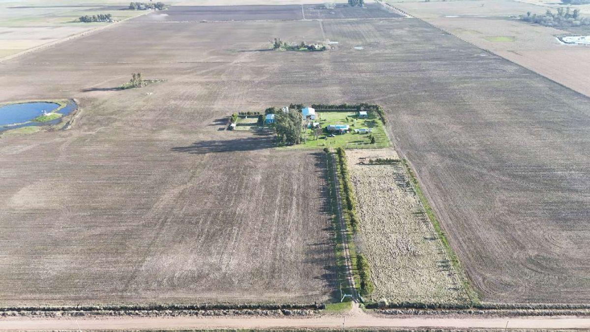 Campo en venta de 41ha ubicado en Saladillo