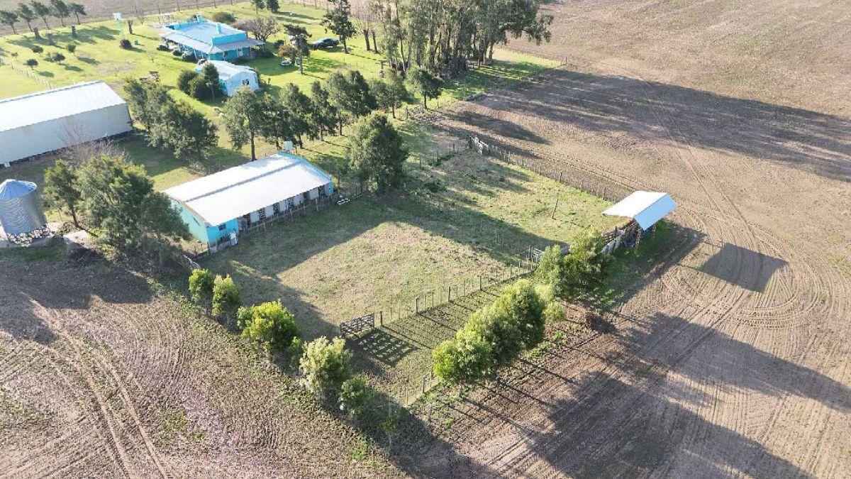 Foto de Campo en venta de 41ha ubicado en Saladillo, imagen 2