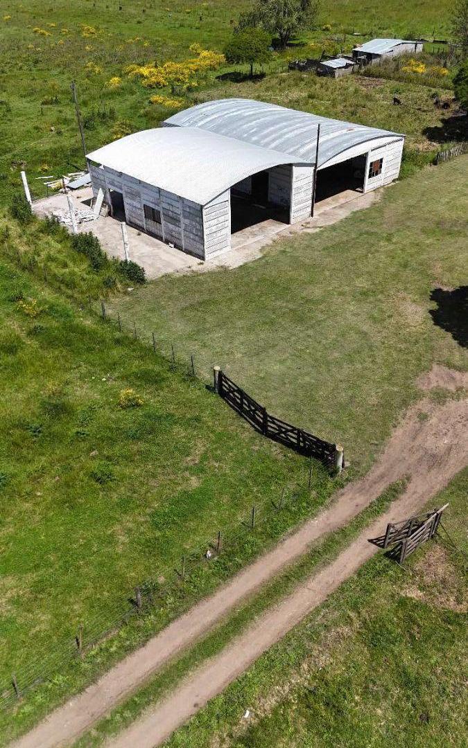Foto de Campo en venta de 8ha ubicado en Saladillo, imagen 5