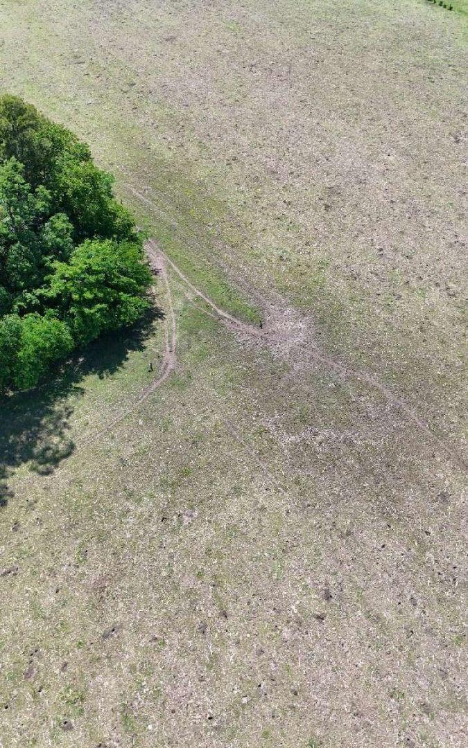 Foto de Campo en venta de 53ha ubicado en Saladillo, imagen 3