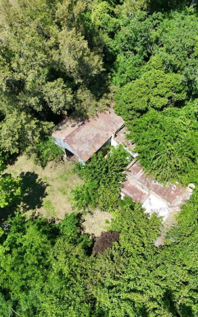 Foto de Campo en venta de 53ha ubicado en Saladillo, imagen 5