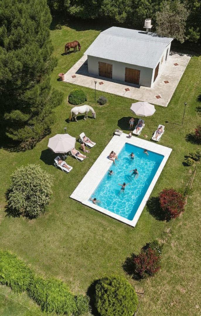 Foto de Campo en venta de 21 Hectareas ubicado en Saladillo, imagen 2