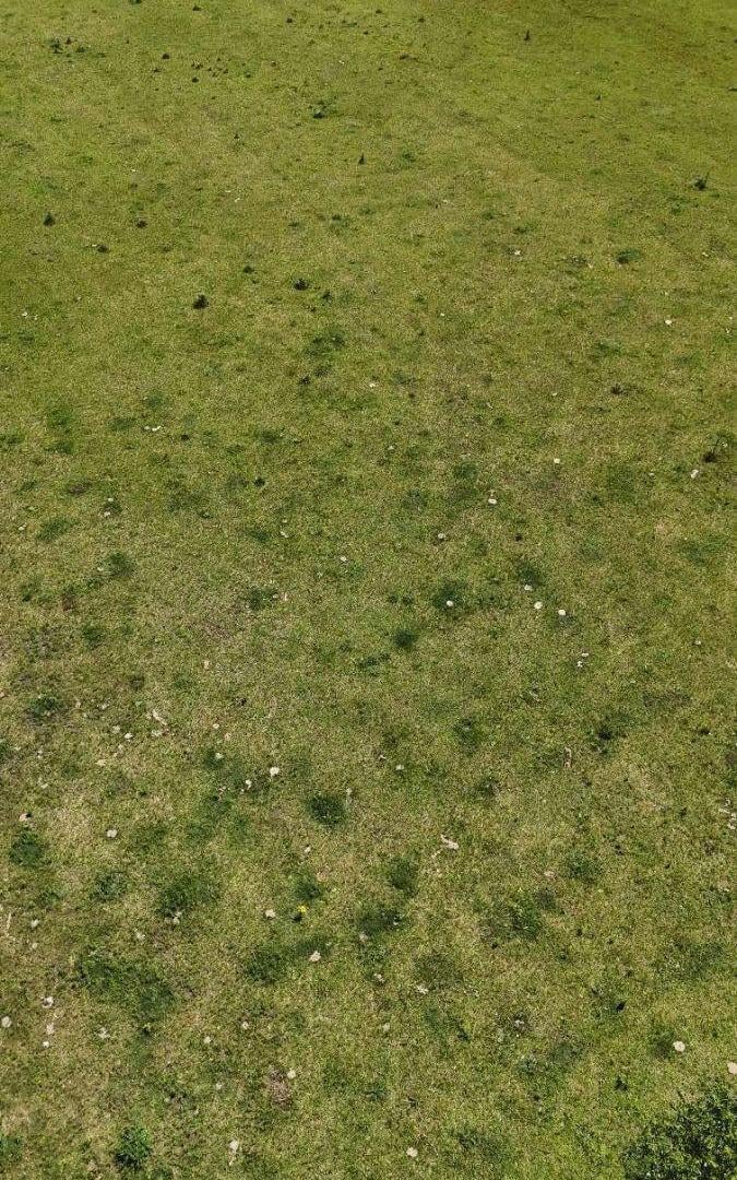 Foto de Campo en venta de 21 Hectareas ubicado en Saladillo, imagen 5