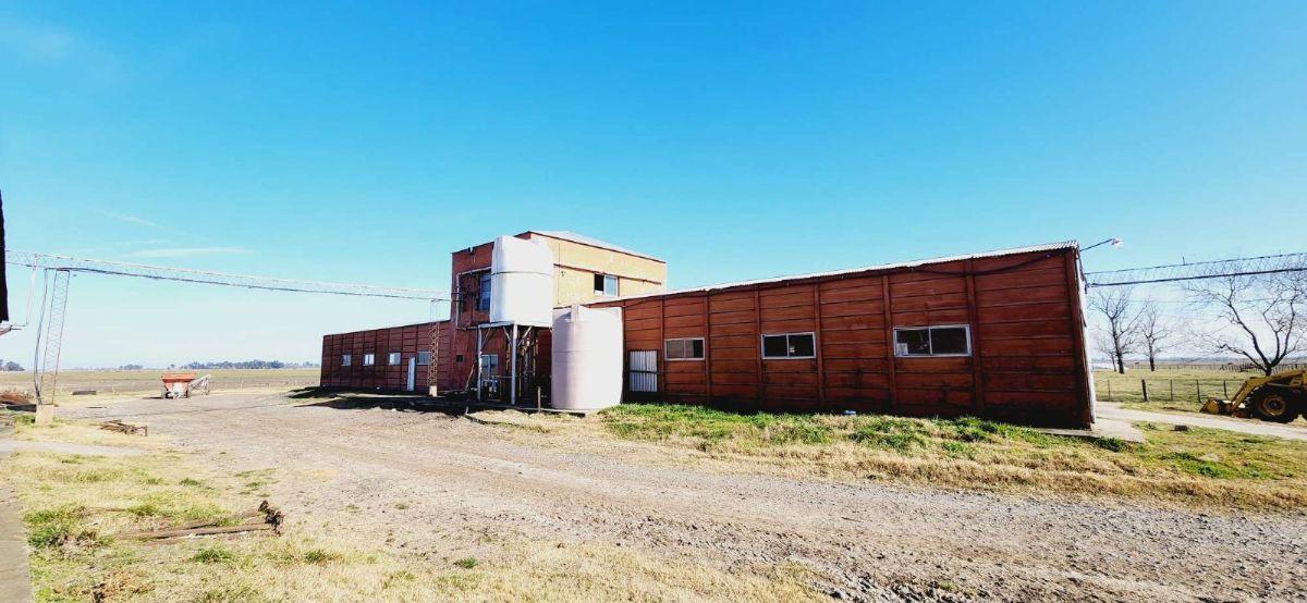 Foto de Campo en venta de 488 Hectareas ubicado en Saladillo Buenos aires, imagen 3
