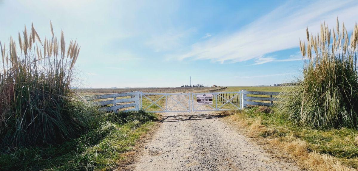 Campo en venta de 488 Hectareas ubicado en Saladillo Buenos aires