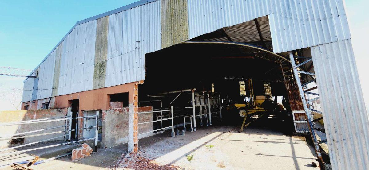 Foto de Campo en venta de 488 Hectareas ubicado en Saladillo Buenos aires, imagen 4