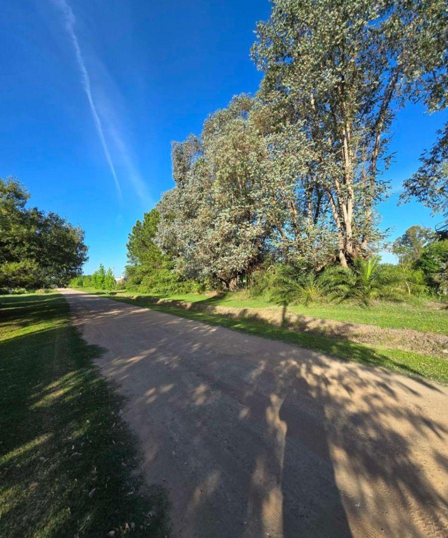 Foto de Campo en venta de 5ha ubicado en Saladillo, imagen 2