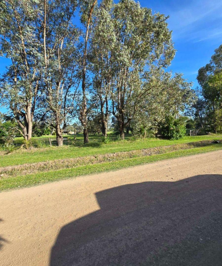 Foto de Campo en venta de 5ha ubicado en Saladillo, imagen 3