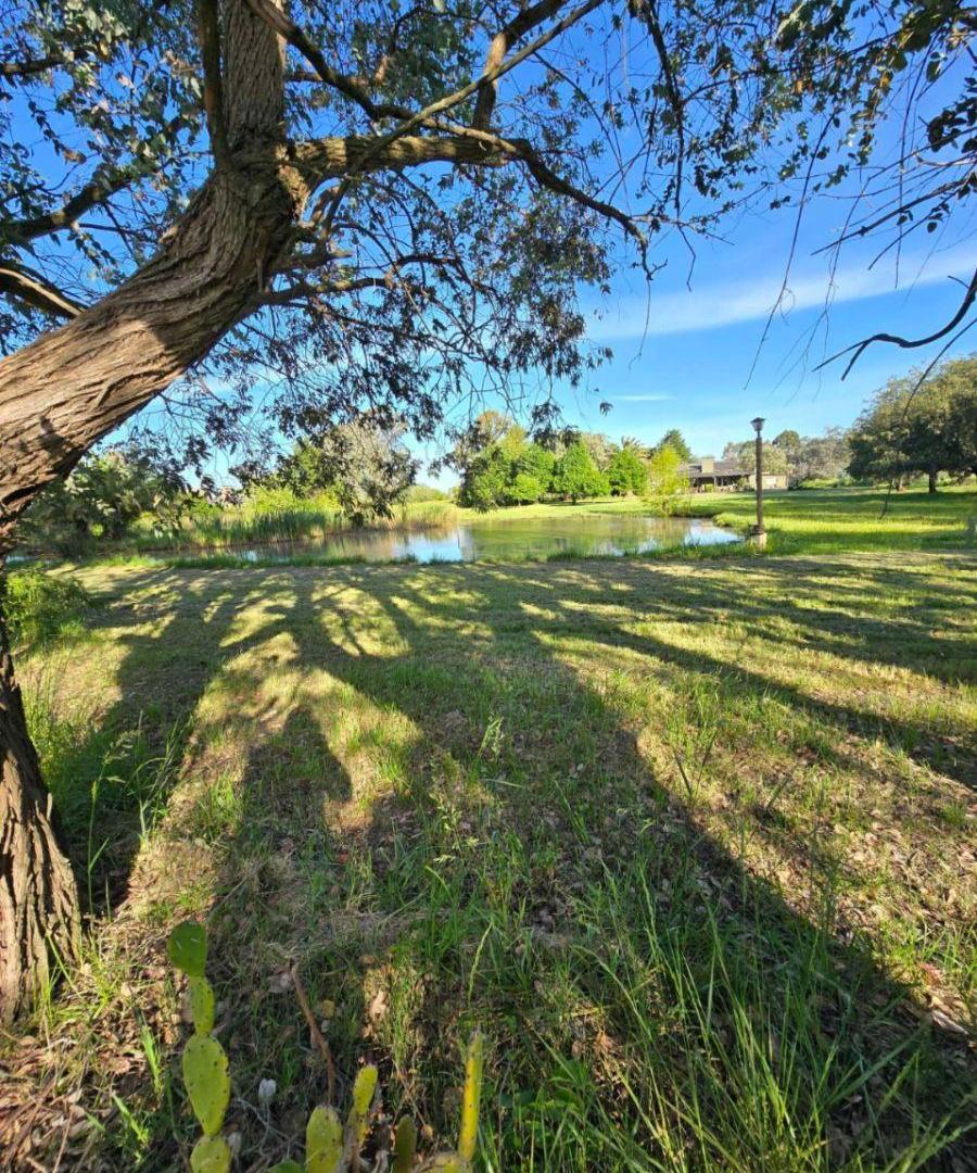 Foto de Campo en venta de 5ha ubicado en Saladillo, imagen 5