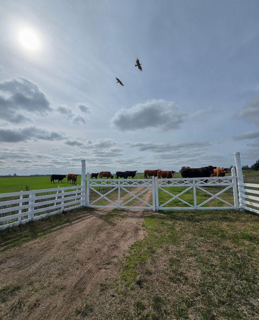 Campo en venta de 119m2 ubicado en Del Carril