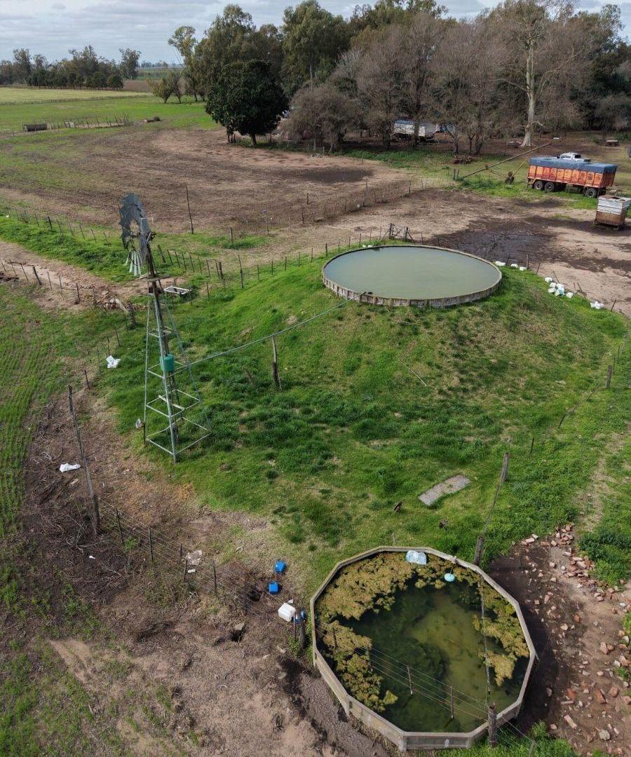 Foto de Campo en venta de 119m2 ubicado en Del Carril, imagen 3