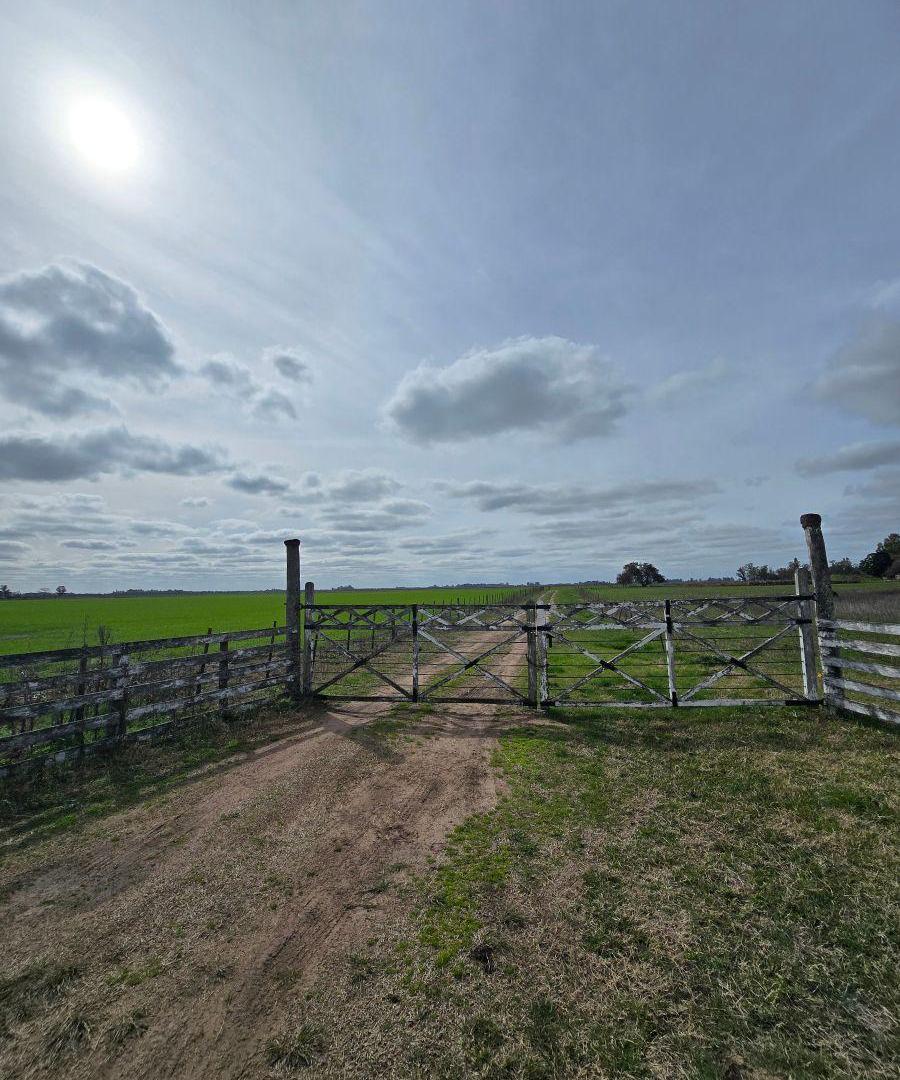 Foto de Campo en venta de 119m2 ubicado en Del Carril, imagen 1