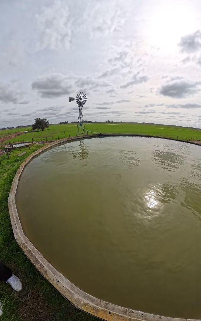 Foto de Campo en venta de 119m2 ubicado en Del Carril, imagen 5