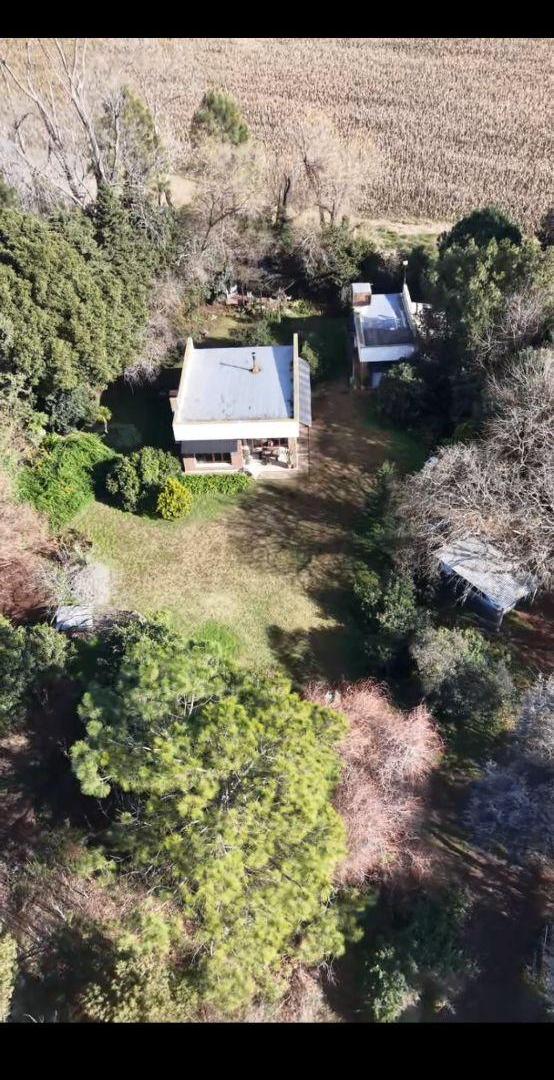 Foto de Chacra en venta de 10000m2 ubicado en Saladillo, imagen 4