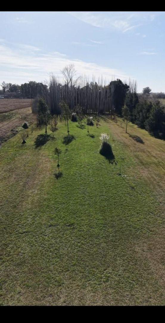 Foto de Chacra en venta de 10000m2 ubicado en Saladillo, imagen 5