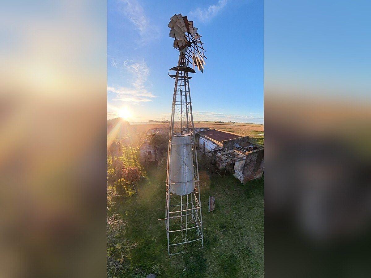 Foto de Campo en venta de 23 Hectáreas ubicado en Saladillo, imagen 5
