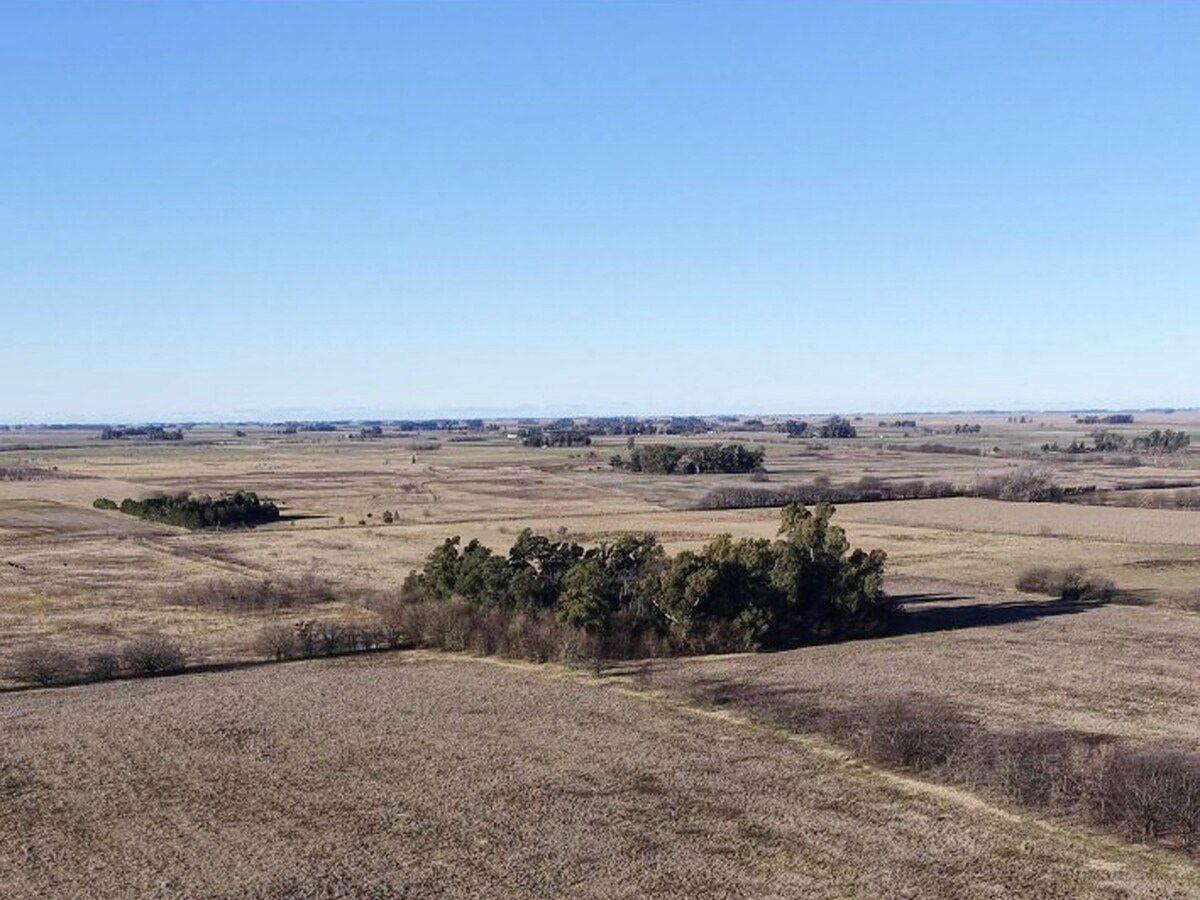 Foto de Campo en venta de 68 Hectáreas ubicado en Saladillo, imagen 5