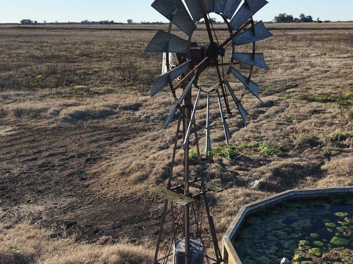 Foto de Campo en venta de 68 Hectáreas ubicado en Saladillo, imagen 3