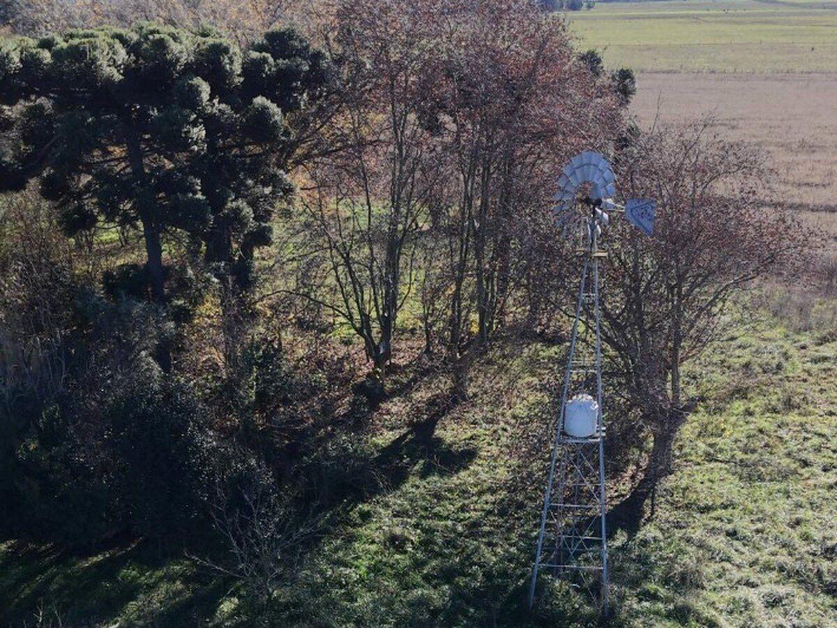 Foto de Campo en venta de 98 Hectáreas ubicado en Saladillo, imagen 1