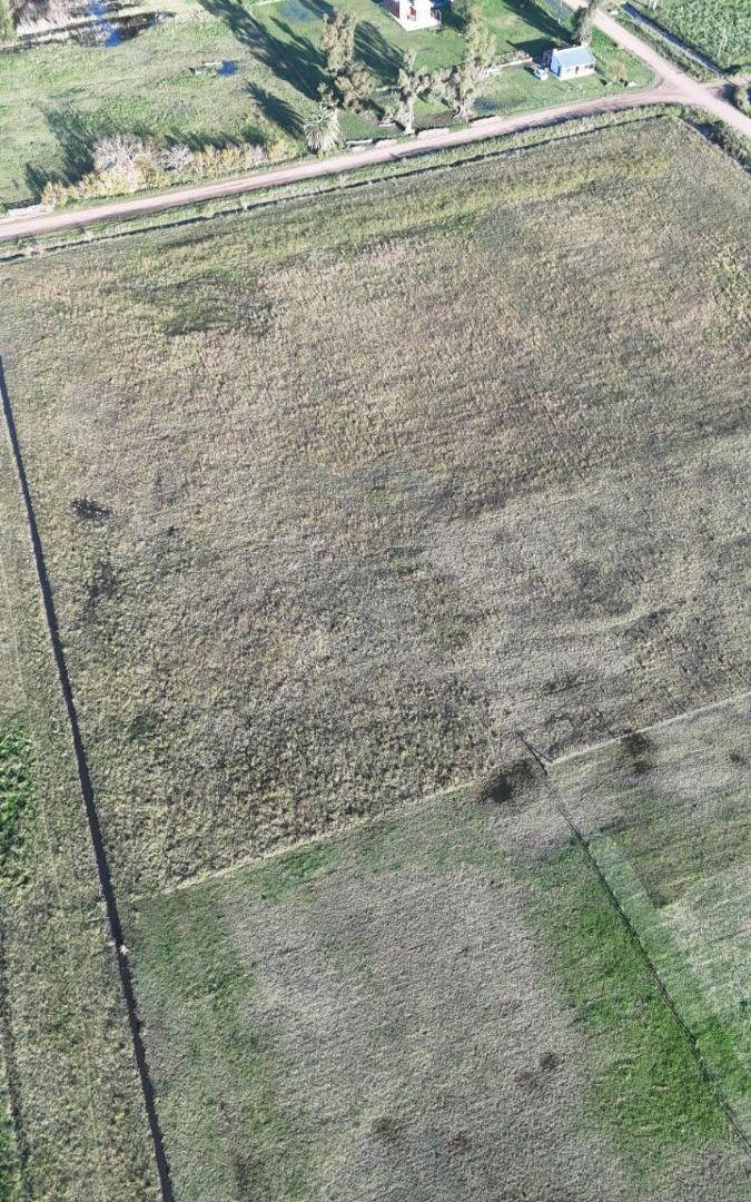 Foto de Terreno / Lote en venta de 2751m2 ubicado en Saladillo, imagen 5