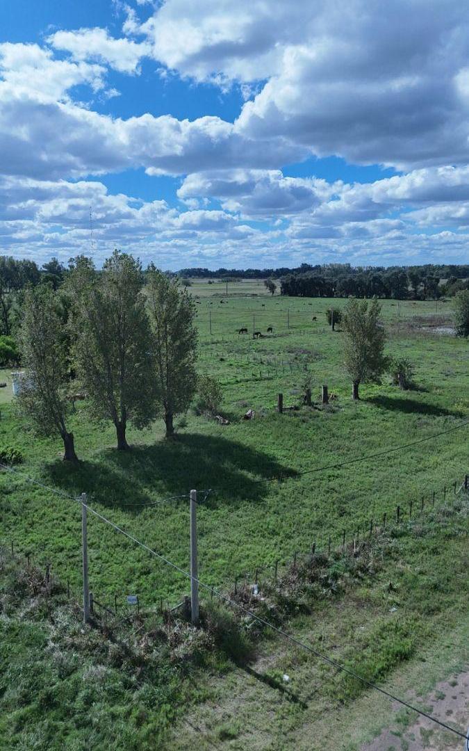 Foto de Terreno / Lote en venta de 2486m2 ubicado en Saladillo, imagen 1